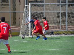 MIS Sports